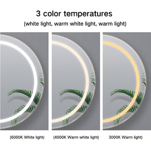Round LED Mirror Cabinet with Demister, Color Selection and Dimmer